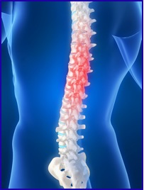 Qualitybackand spinepic